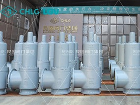 良固安全阀交付神华包头煤制烯烃升级示范项目 LIANGGU Valves Deliver Safety at Critical Project Milestones